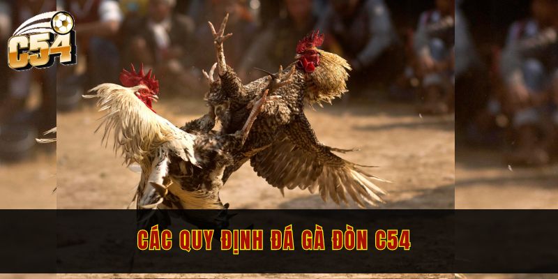 Review đá gà đòn C54 - Chi tiết luật chơi cho người mới 2 Các quy định đá gà đòn bạn nên biết