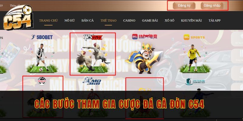 Review đá gà đòn C54 - Chi tiết luật chơi cho người mới 3 Chi tiết các bước tham gia cược đá gà đòn C54