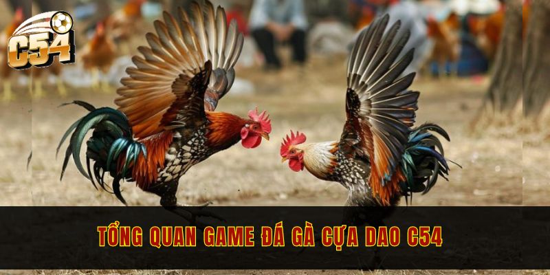 Đá gà cựa dao C54 - Hòa mình vào trận đấu kịch tính 1 Tổng quan game đá gà cựa dao C54 hot 2024